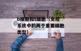 中国好声音listen（聆听中国好声音的舞台魅力）