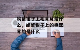 螃蟹钳子上毛茸茸是什么，螃蟹钳子上的毛茸茸的是什么