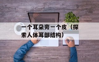 天天向上 快乐男声（快乐男声节目点评）