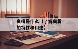 红烧牛腩怎么做最好吃，红烧牛腩怎么做最好吃的