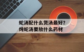 蛇汤配什么煲汤最好？炖蛇汤要放什么药材