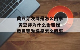 黄豆芽发绿是怎么回事 黄豆芽为什么会变绿黄豆芽发绿是怎么回事