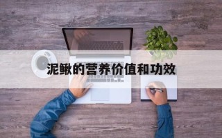 泥鳅的营养价值和功效