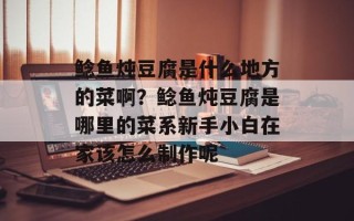 鲶鱼炖豆腐是什么地方的菜啊？鲶鱼炖豆腐是哪里的菜系新手小白在家该怎么制作呢