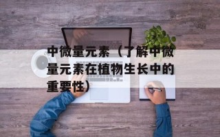 残月轩小说网（小说迷们的必备阅读平台）