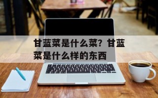 甘蓝菜是什么菜？甘蓝菜是什么样的东西