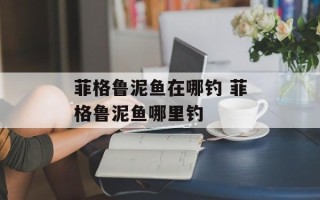 菲格鲁泥鱼在哪钓 菲格鲁泥鱼哪里钓
