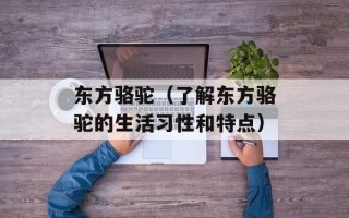 最新h0930（最新h0930的更新内容和优化）