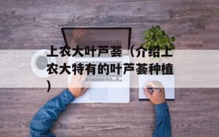 战机世界德系（探秘德系战机的强大性能与历史）
