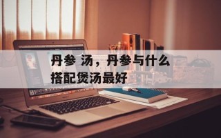 丹参 汤，丹参与什么搭配煲汤最好