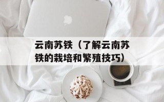 电脑练歌（用电脑轻松练习歌唱技巧）