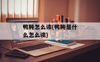 鸭肫怎么读(鸭肫是什么怎么读)