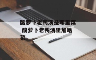 酸萝卜老鸭汤是哪里菜 酸萝卜老鸭汤里加啥菜