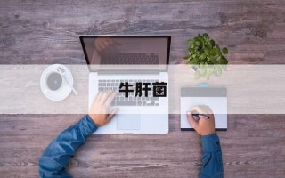 牛肝菌