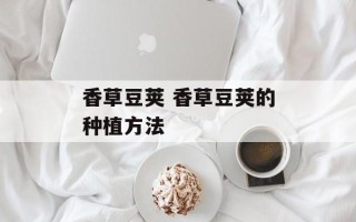 香草豆荚 香草豆荚的种植方法
