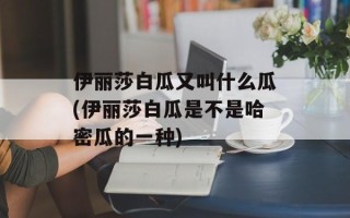 伊丽莎白瓜又叫什么瓜(伊丽莎白瓜是不是哈密瓜的一种)