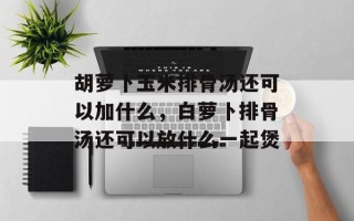 胡萝卜玉米排骨汤还可以加什么，白萝卜排骨汤还可以放什么一起煲