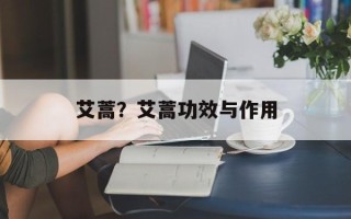艾蒿？艾蒿功效与作用