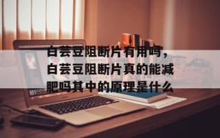 白芸豆阻断片有用吗，白芸豆阻断片真的能减肥吗其中的原理是什么