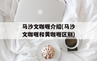 马沙文咖喱介绍(马沙文咖喱和黄咖喱区别)