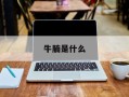 牛腩是什么