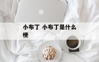 小布丁 小布丁是什么梗