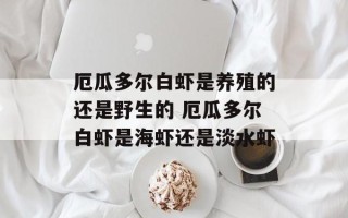 厄瓜多尔白虾是养殖的还是野生的 厄瓜多尔白虾是海虾还是淡水虾