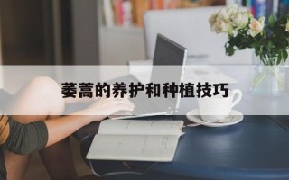 自带午饭菜谱，自带午饭的风险