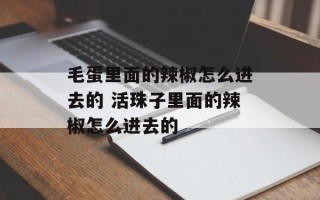 毛蛋里面的辣椒怎么进去的 活珠子里面的辣椒怎么进去的