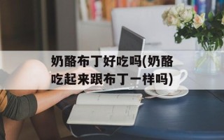 奶酪布丁好吃吗(奶酪吃起来跟布丁一样吗)