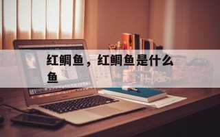 红鲷鱼，红鲷鱼是什么鱼