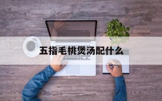 五指毛桃煲汤配什么