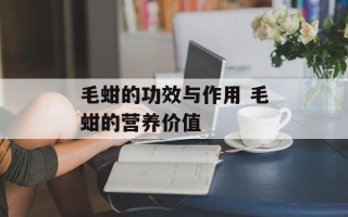 毛蚶的功效与作用 毛蚶的营养价值