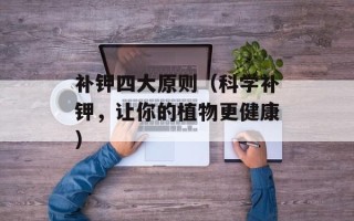蒸排骨红萝卜的做法大全，蒸排骨红萝卜的做法