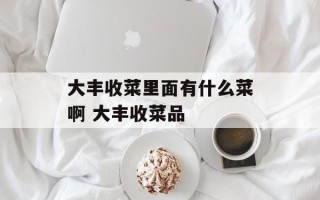 大丰收菜里面有什么菜啊 大丰收菜品