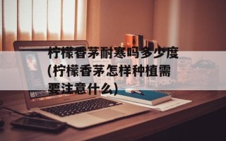 柠檬香茅耐寒吗多少度(柠檬香茅怎样种植需要注意什么)
