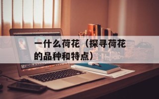 失落之塔片尾曲（感动人心的音乐作品）
