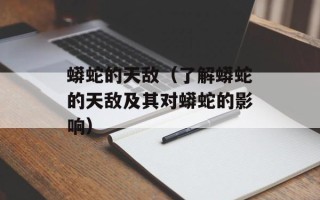 葡萄牙语英文，葡萄牙语英文简历翻译价目表