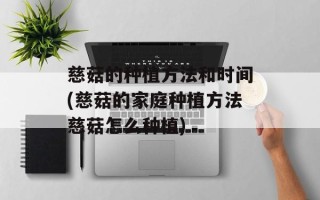 慈菇的种植方法和时间(慈菇的家庭种植方法慈菇怎么种植)