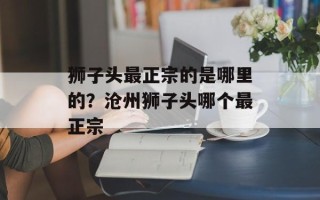 狮子头最正宗的是哪里的？沧州狮子头哪个最正宗