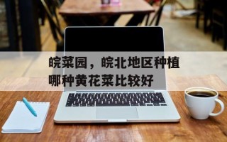 皖菜园，皖北地区种植哪种黄花菜比较好