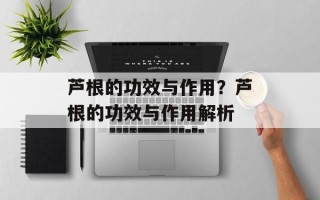 芦根的功效与作用？芦根的功效与作用解析