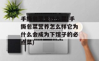 手撕包菜是什么菜(手撕包菜营养怎么样它为什么会成为下馆子的必点菜)