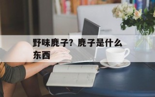 野味麂子？麂子是什么东西