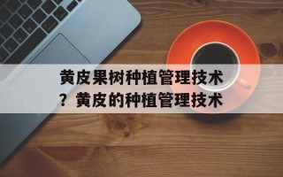黄皮果树种植管理技术？黄皮的种植管理技术