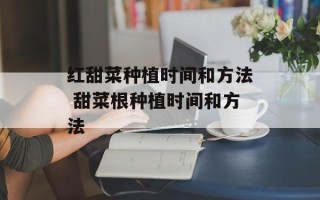红甜菜种植时间和方法 甜菜根种植时间和方法