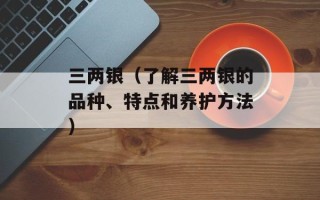 录歌网站（打造你自己的音乐录制平台）