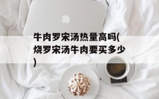 牛肉罗宋汤热量高吗(烧罗宋汤牛肉要买多少)