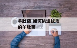 羊肚菌 如何挑选优质的羊肚菌