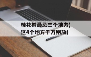 桂花树最忌三个地方(这4个地方千万别放)